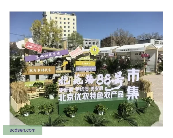 农夫网站导航大全，一站式解锁全网宝藏网站！ 